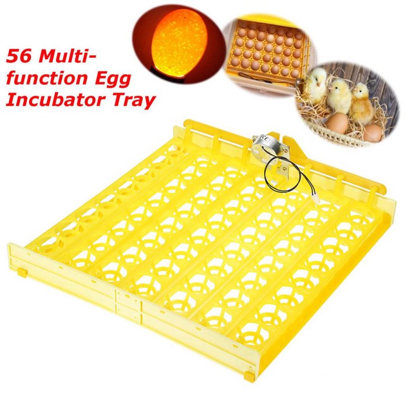 56 Egg Incubator Turner Tray With 12V Turning Motor In Pakistan