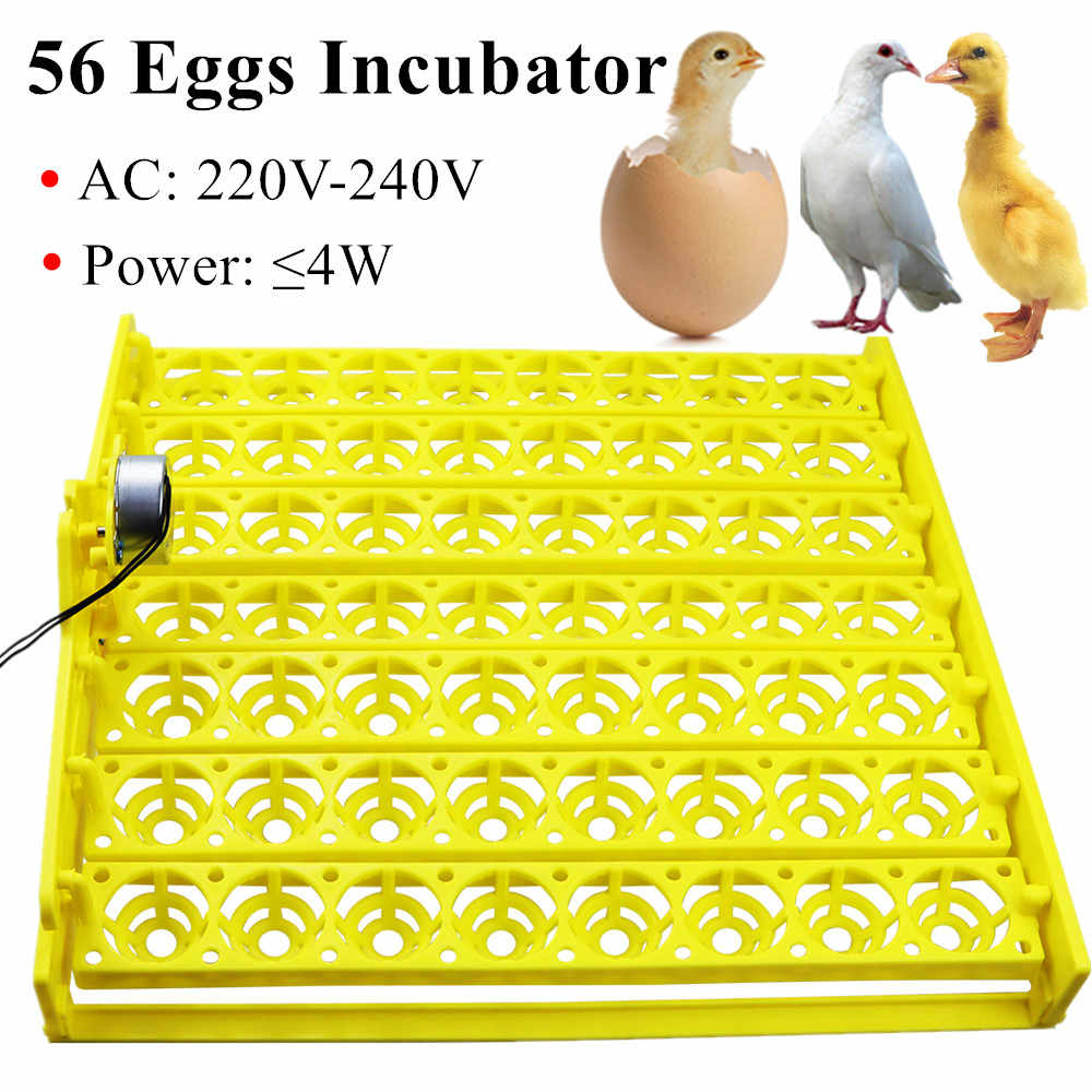56 Egg Incubator Turner Tray With 12V Turning Motor In Pakistan